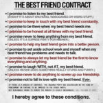 Contract de prietenie